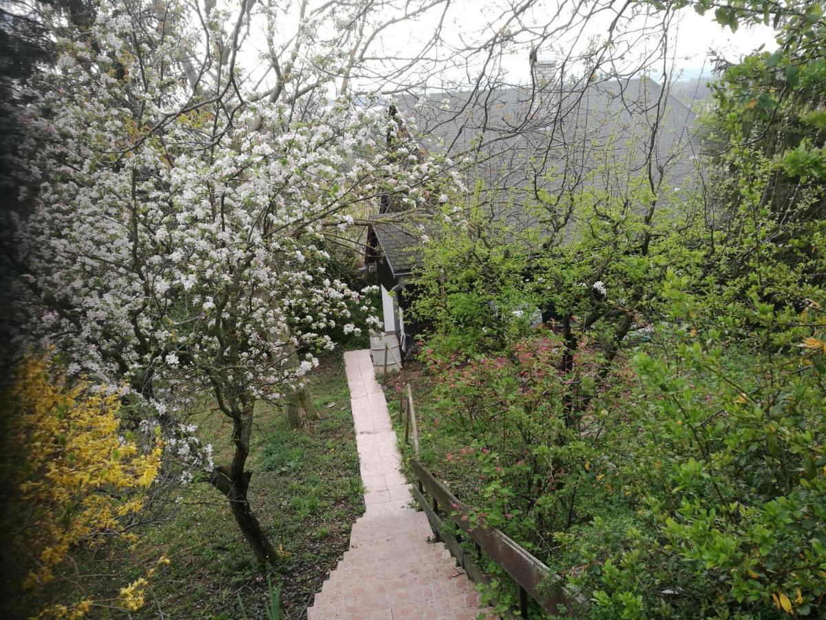 Holiday House Cervena Veza Pöstyén Kültér fotó